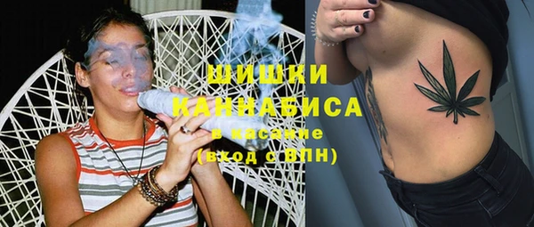 2c-b Бородино
